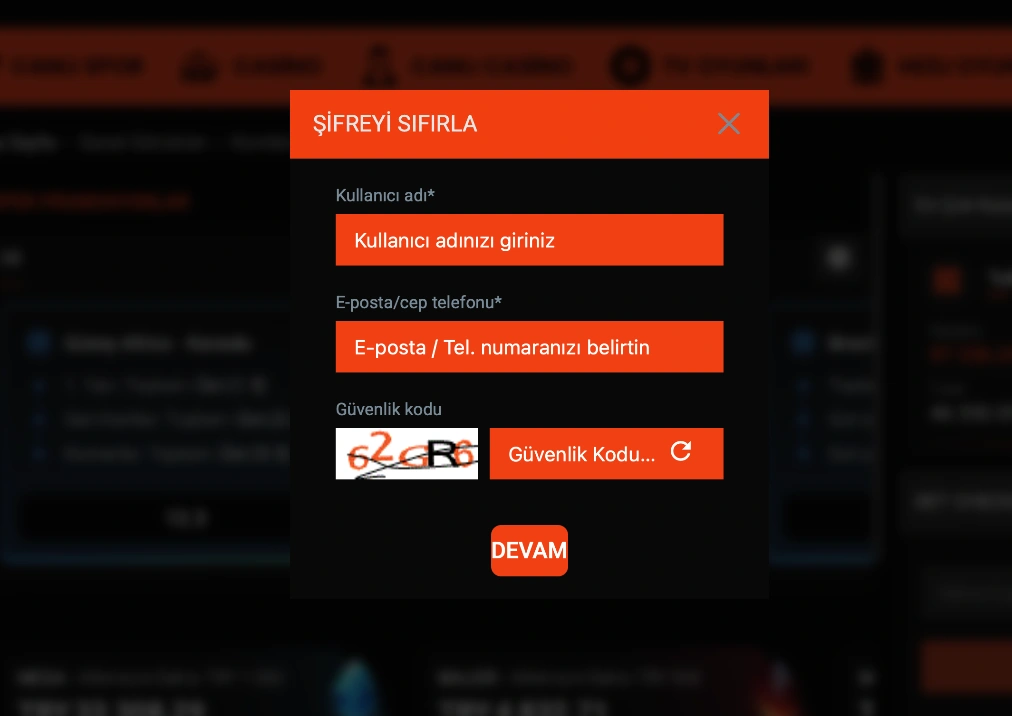 Giriş Sorunlarını Giderme